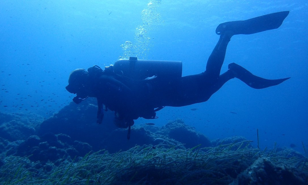 Azure Diving Center景点图片