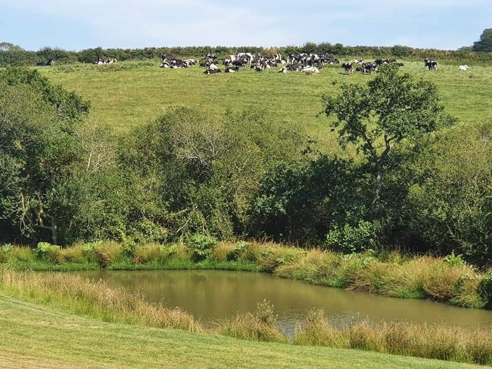Pensagillas Camping & Caravan Park