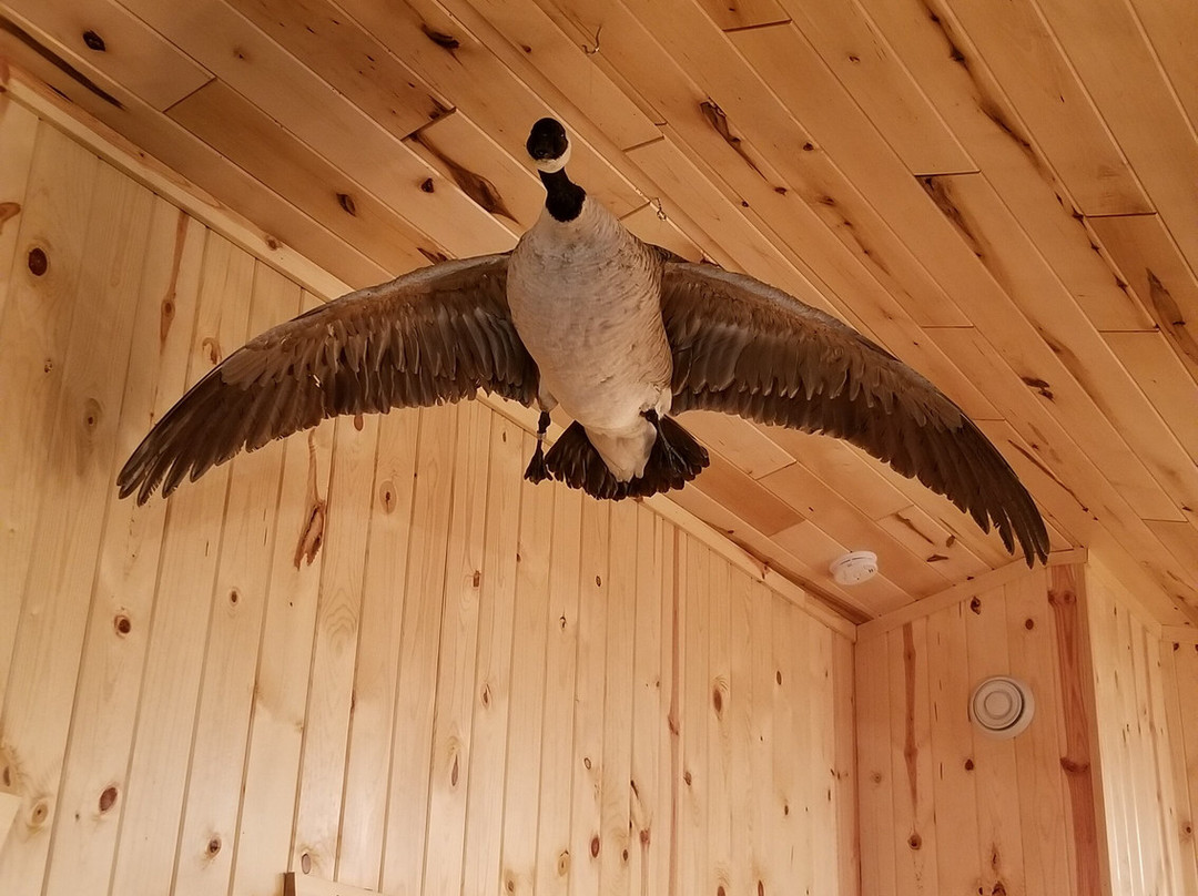 Eagle Nest Lodge主图