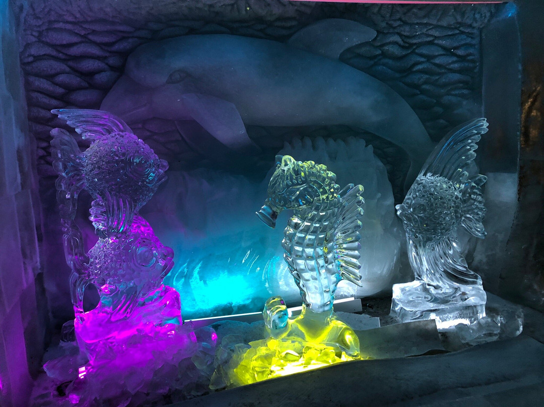 Ice Cave Allalin-萨斯费必去景点