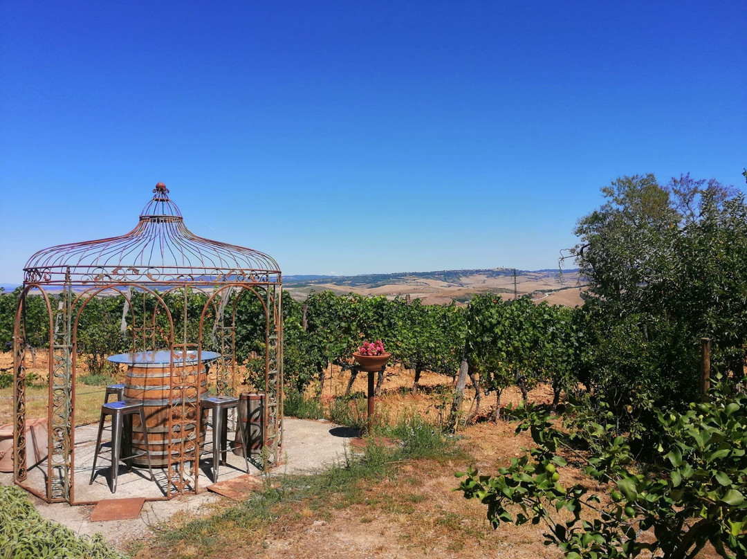 Azienda Agricola Sante Marie di Vignoni-圣奎里科多尔恰必去景点