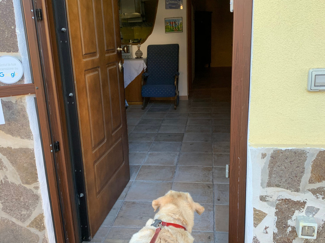 Bed and Breakfast Astralis Cilentum主图