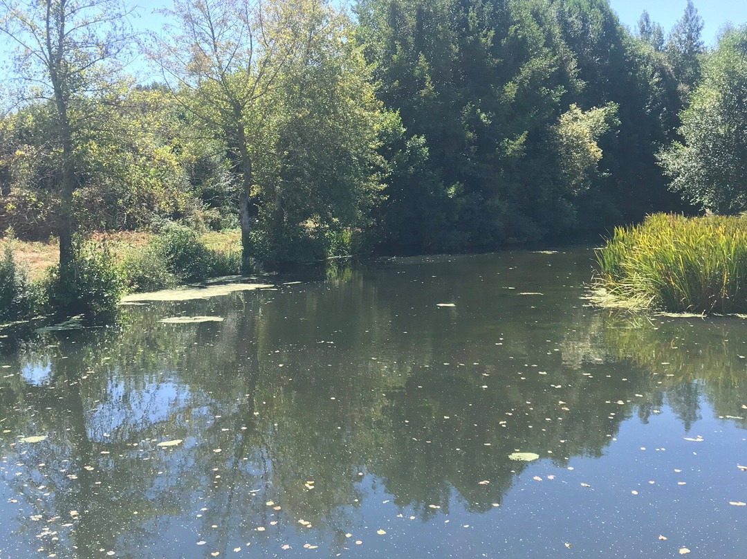 PINTA - Parque Iberico de Natureza e Aventura-Vimioso必去景点