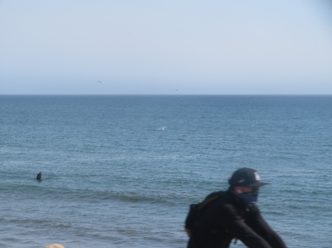 Half Moon Bay Coastside Trail-半月湾必去景点