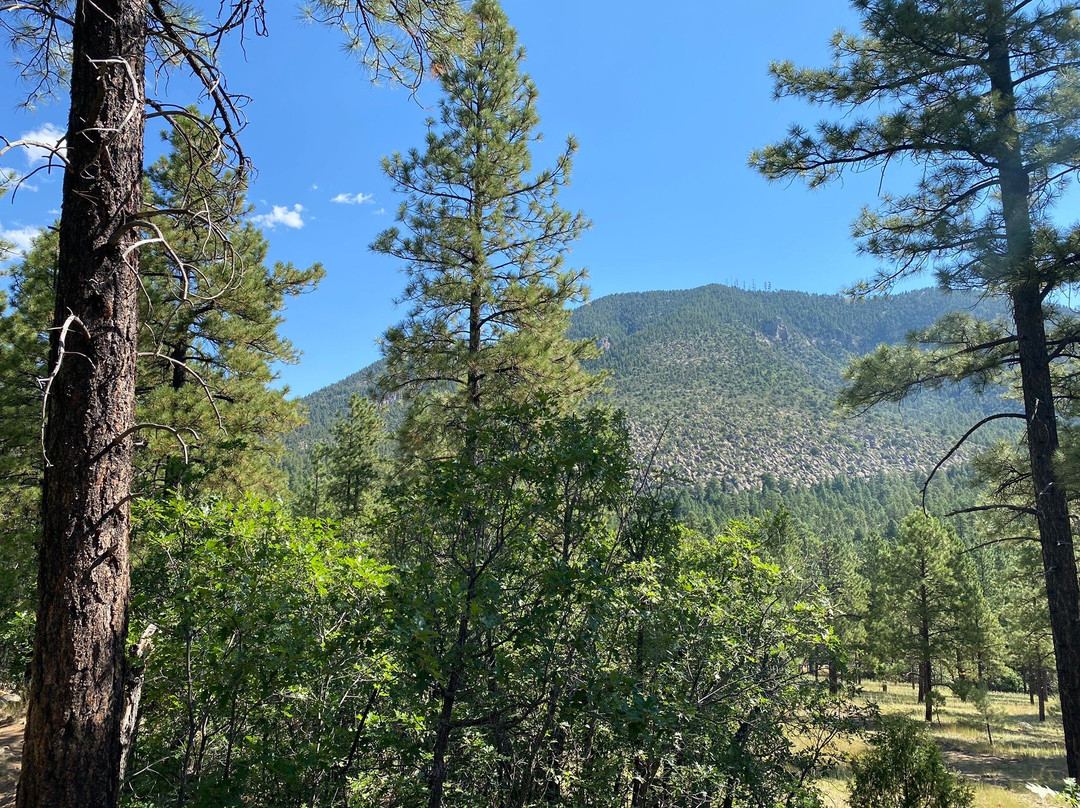 Buffalo Park-弗拉格斯塔夫必去景点