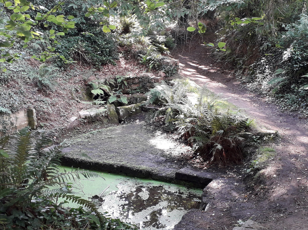 Vallée des Traouïero景点图片