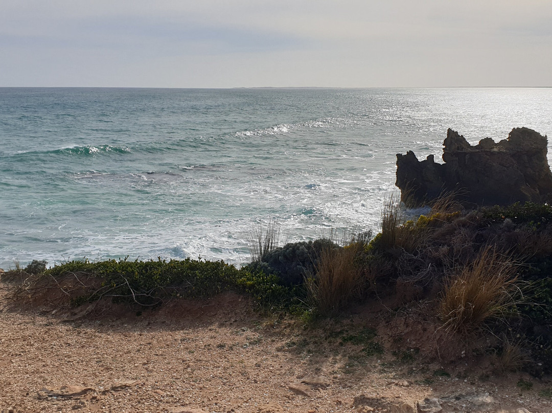 Cape Buffon景点图片