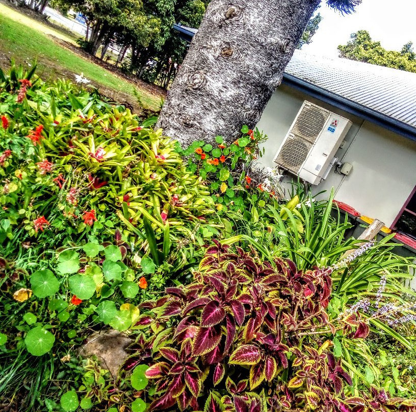 Yungaburra Visitor Information Centre-Yungaburra必去景点