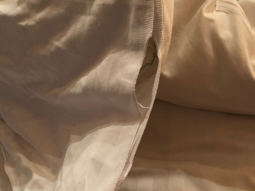 Logis Hôtel le Domaine du Prieuré主图