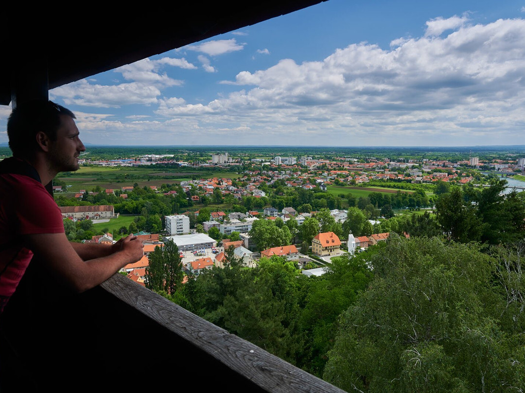 Dubovac Castle景点图片