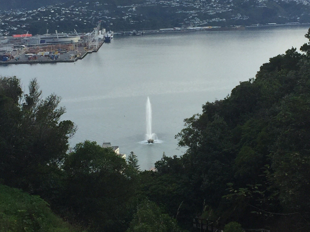 Southern Walkway-惠灵顿必去景点