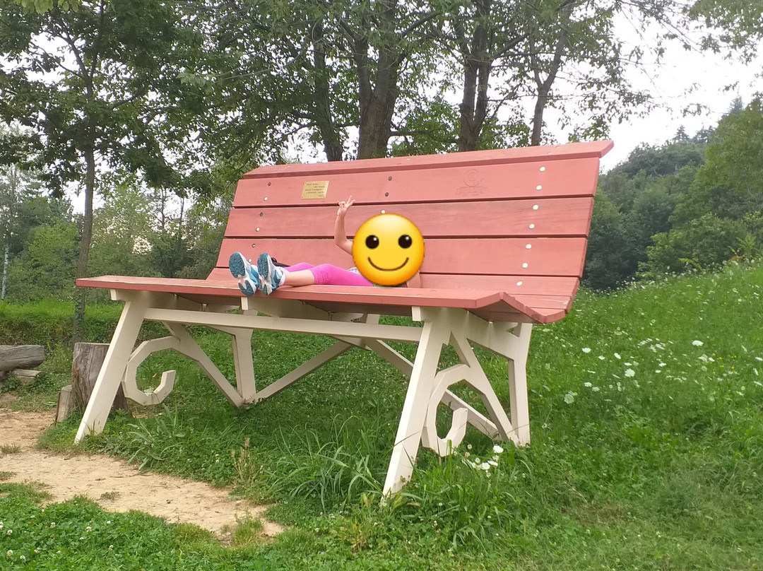 Big Bench Chiusa di Pesio景点图片