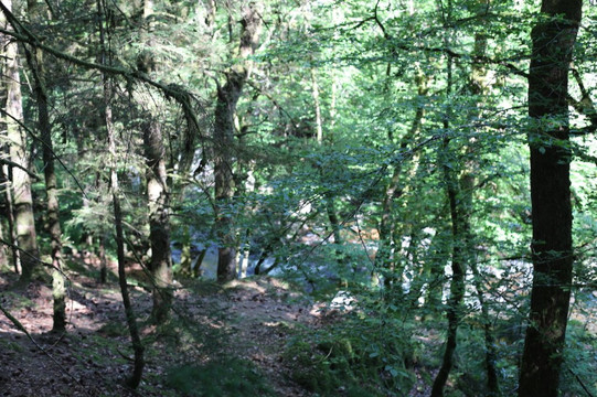 Confluence de la Cure et du Caillot-Gouloux必去景点
