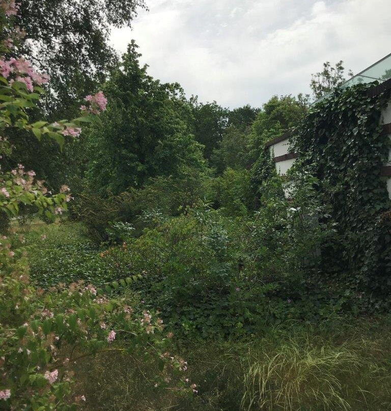 Warnemunde Kur Park景点图片