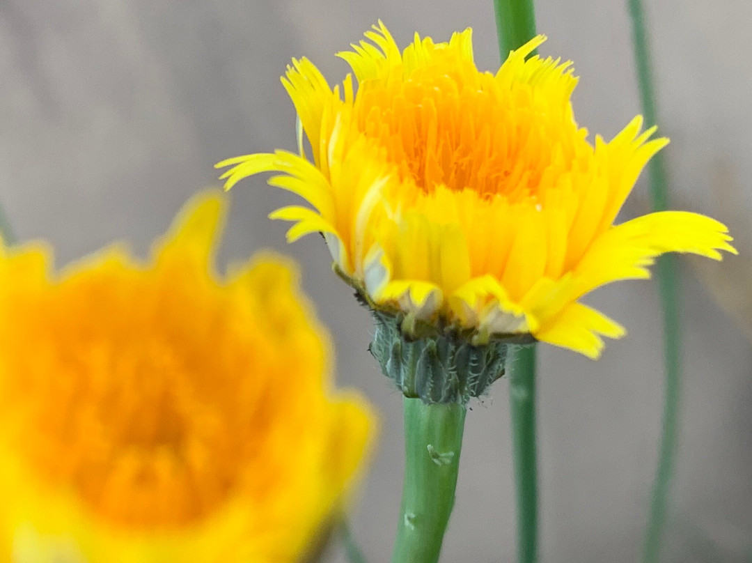 Arundel Hills Country Club-Arundel必去景点