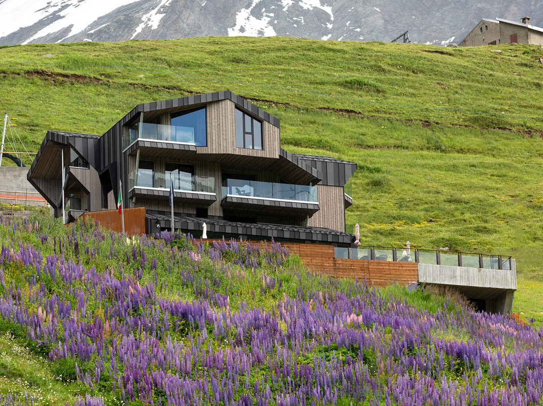 Bergman Mountain Hotel
