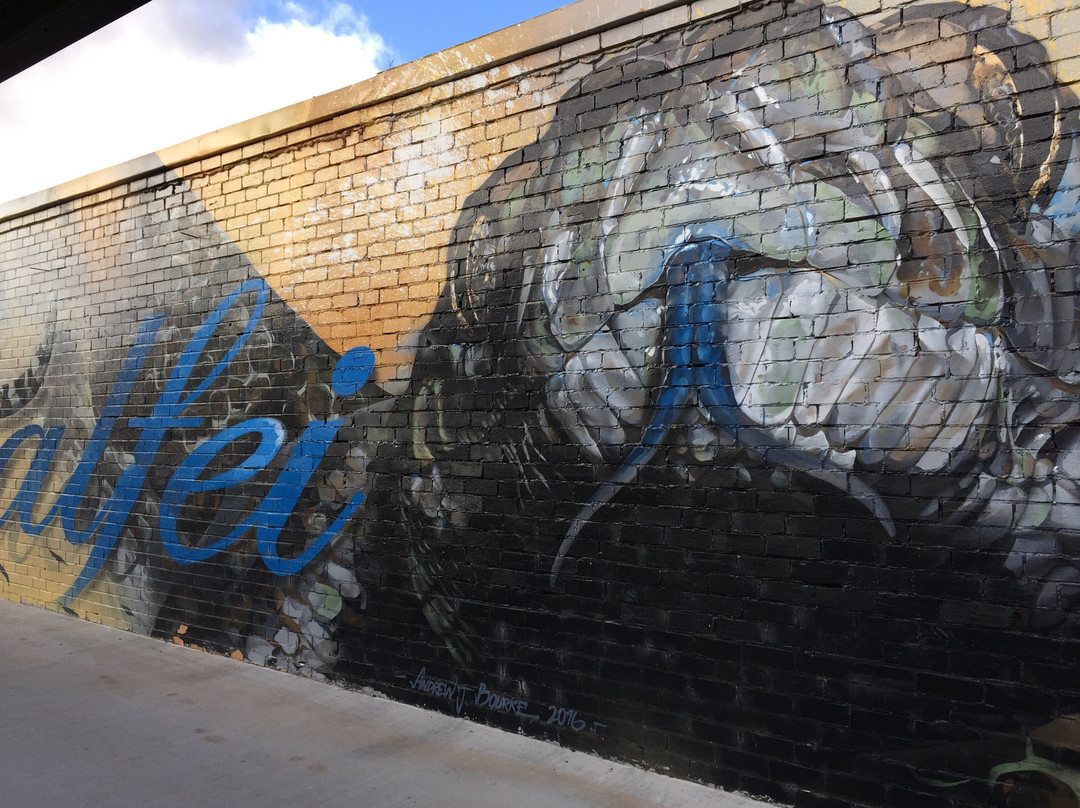 Sirum Snake Mural-Woomelang必去景点