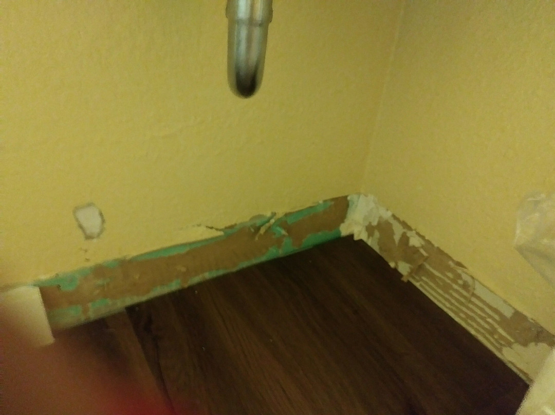 Microtel Inn & Suites by Wyndham Ocala主图