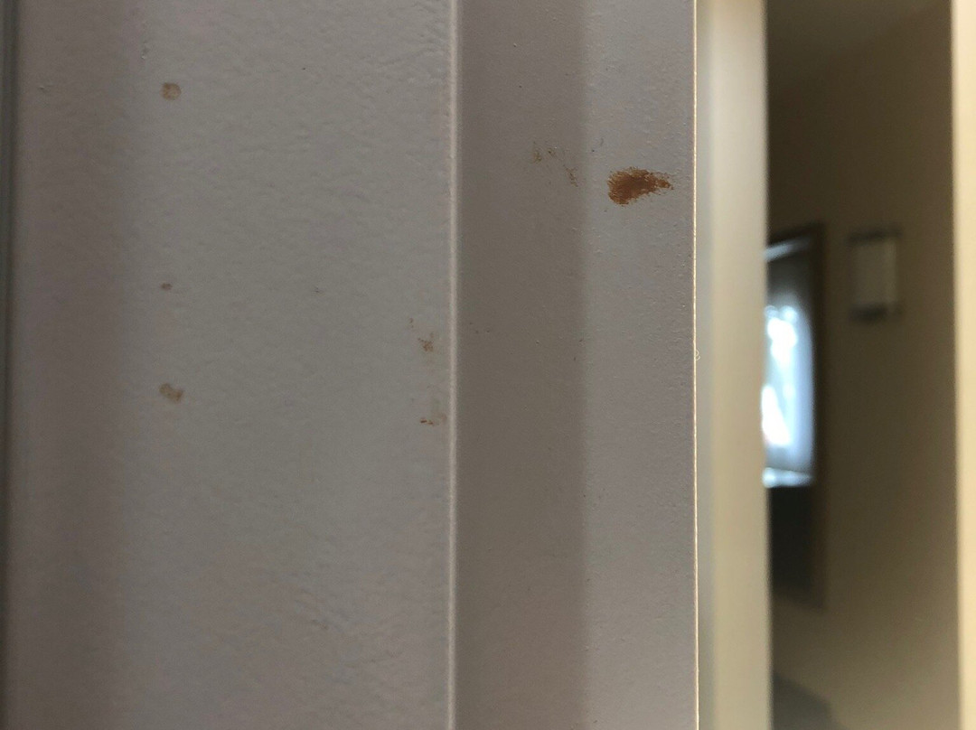 Holiday Inn Express Detroit-warren (gm Tech Ctr) By IHG主图