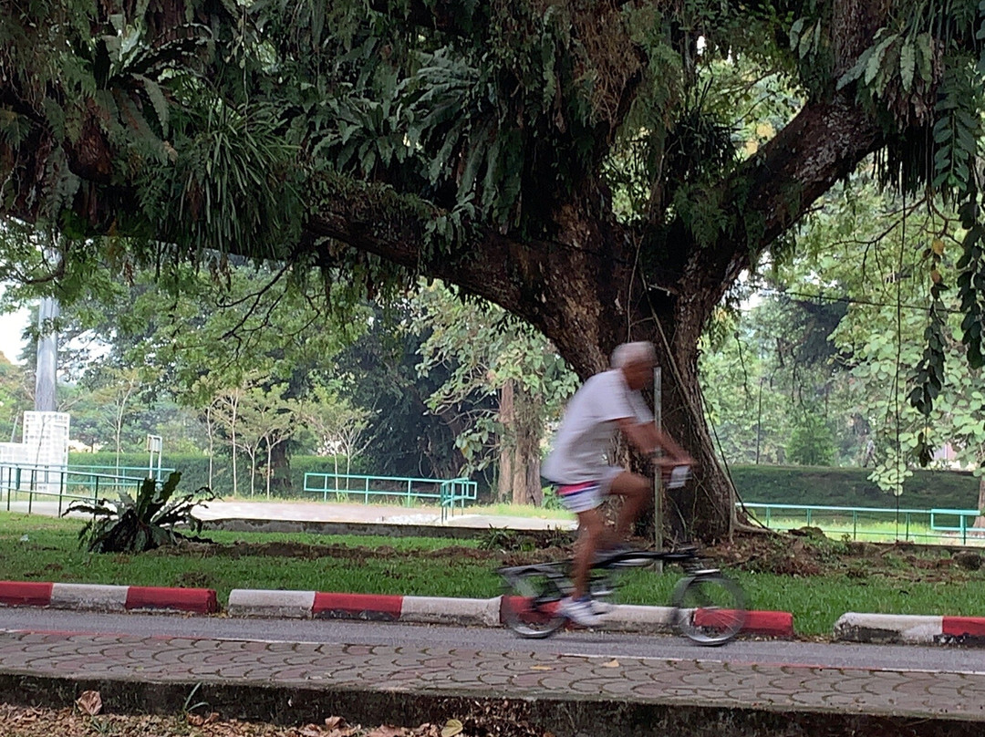 Padang Ipoh-怡保必去景点
