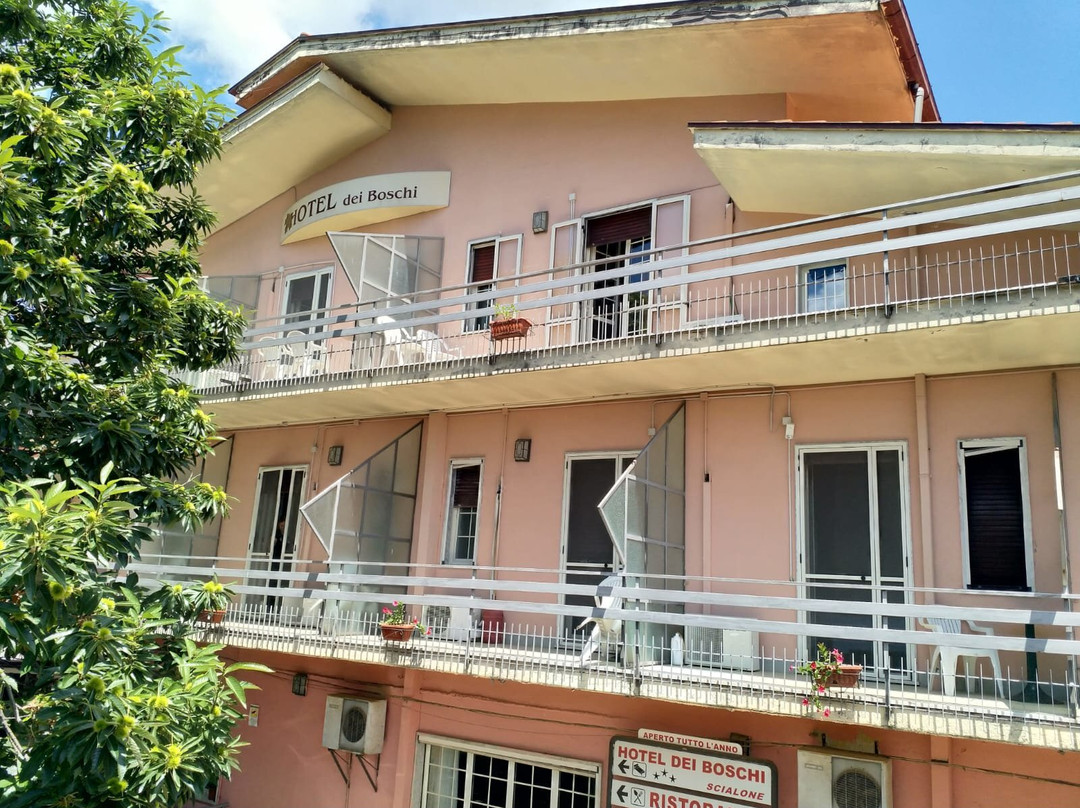 Hotel Dei Boschi主图