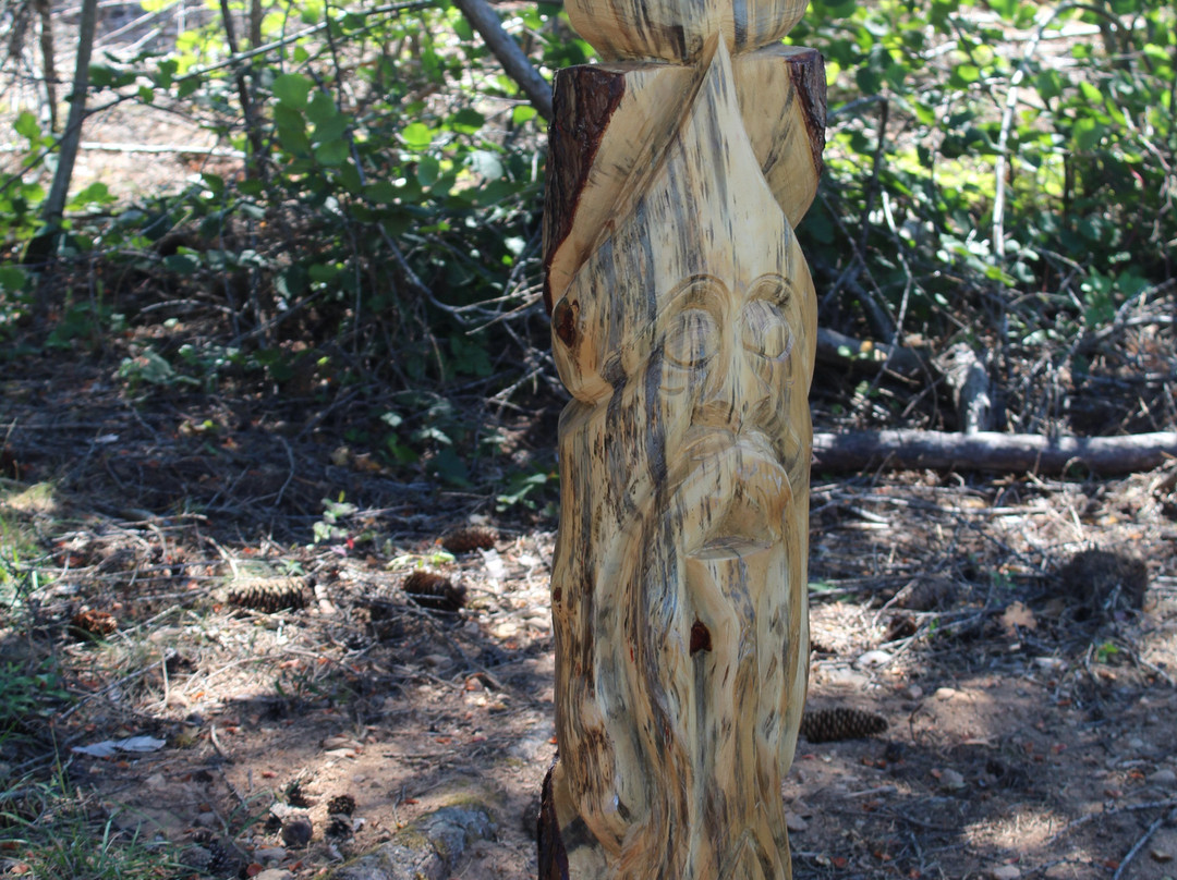 Sentiero degli Gnomi - Pineta Albere-Tenna必去景点