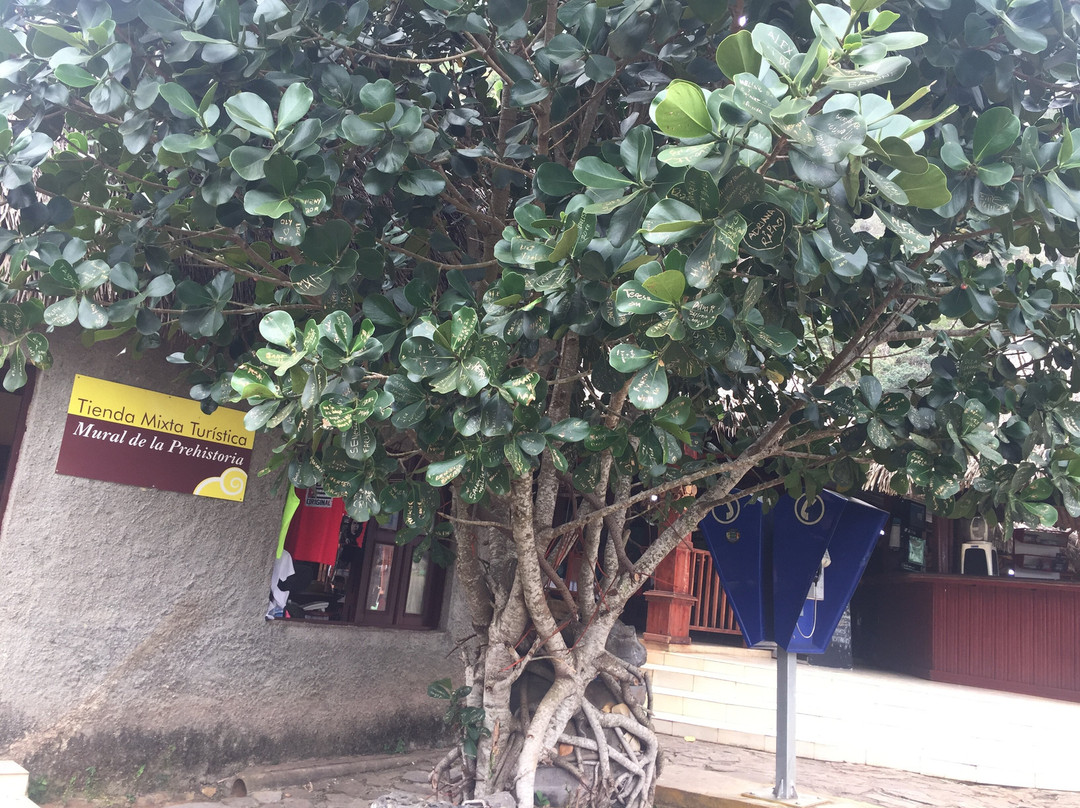 Palenque de los Cimarrones-维纳勒斯必去景点