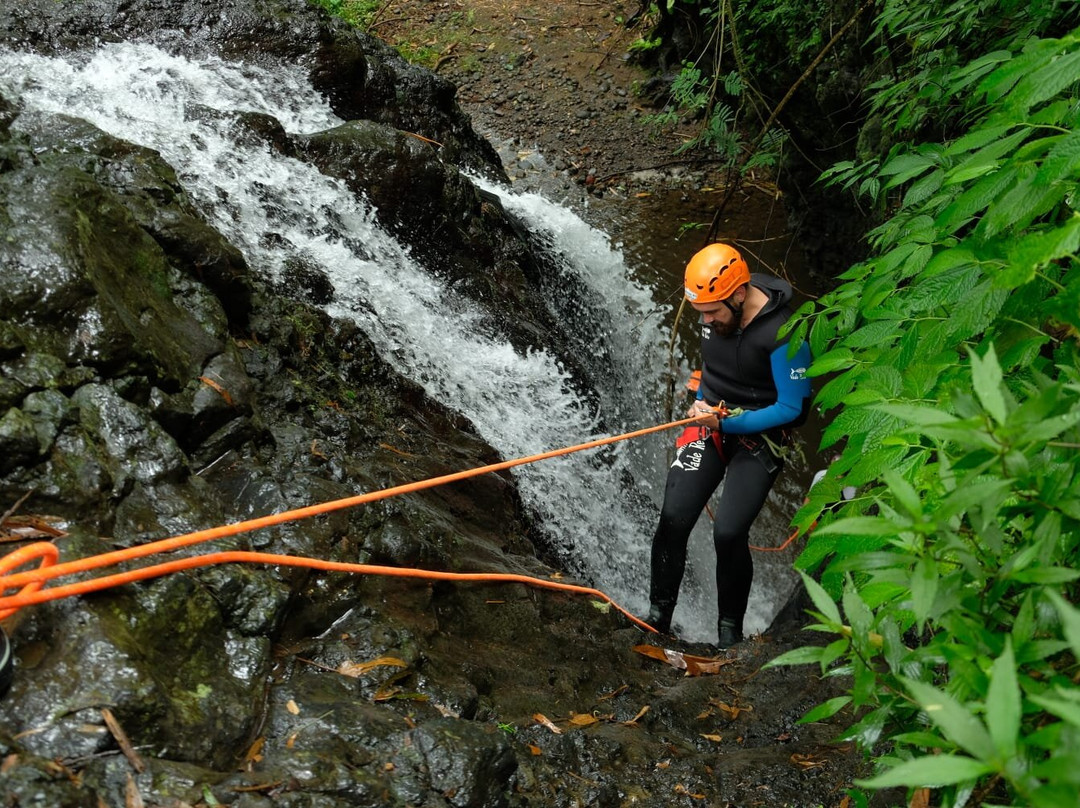 Adventure4Good-乌布必去景点