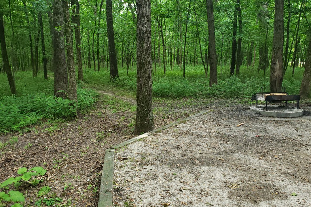 Wolf Creek State Park景点图片