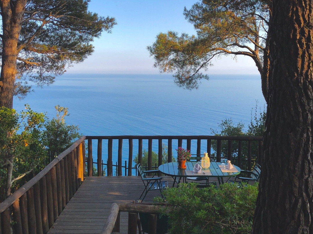 Cavalluccio Marino主图