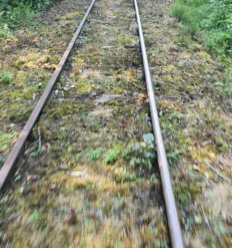 Trolly route-Hultsfred必去景点