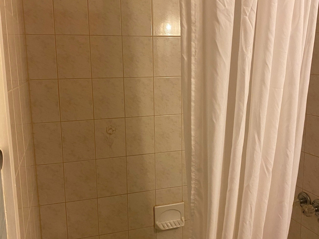 Black Bear Lodge主图