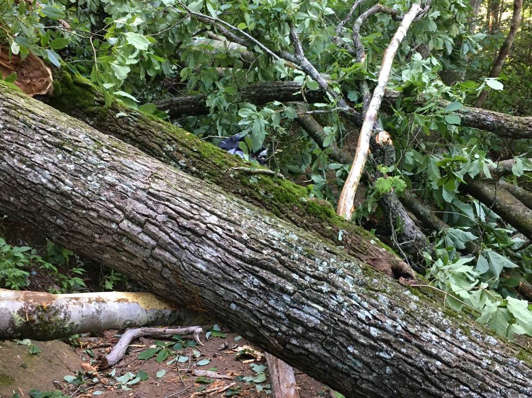 Gorges State Park-Sapphire必去景点