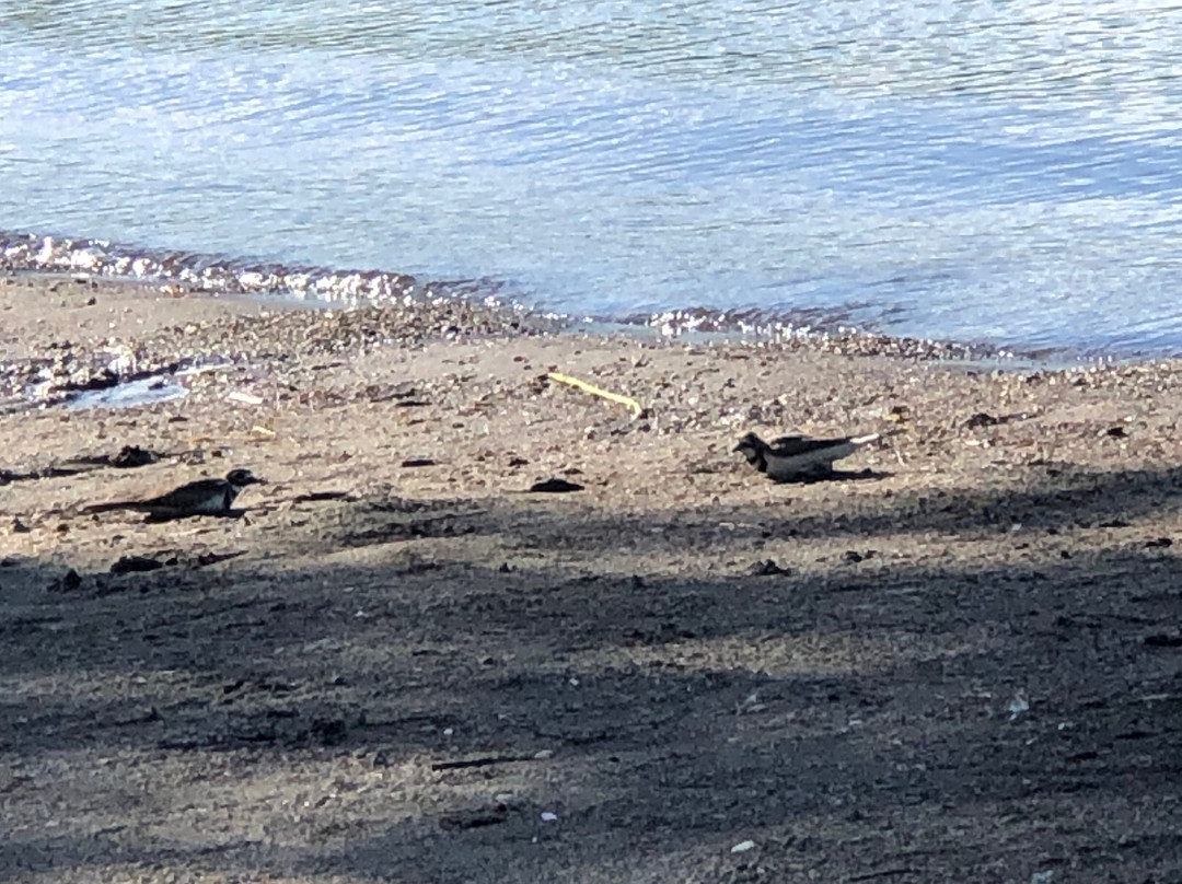 Lazy Daze Resort主图