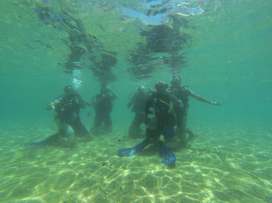 Poseidon Diving Academy-Neos Marmaras必去景点