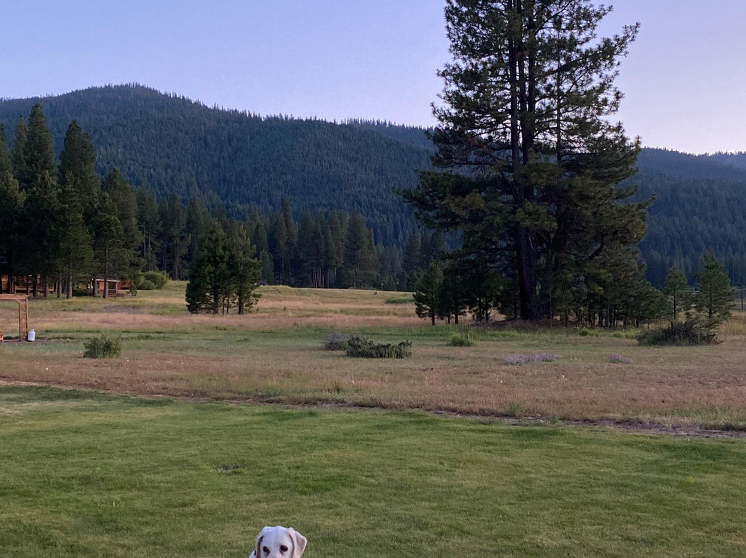 Lodge at Whitehawk主图