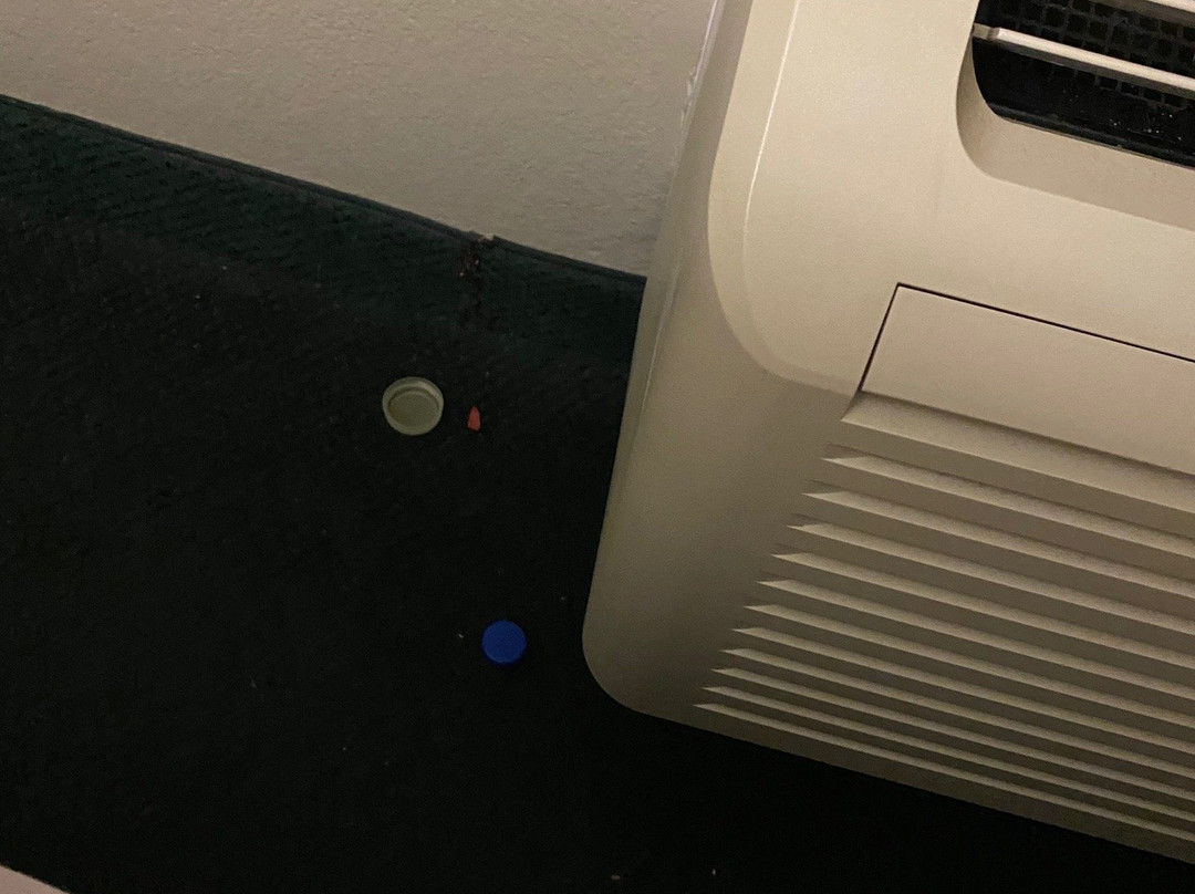 Wellington旅游攻略图片