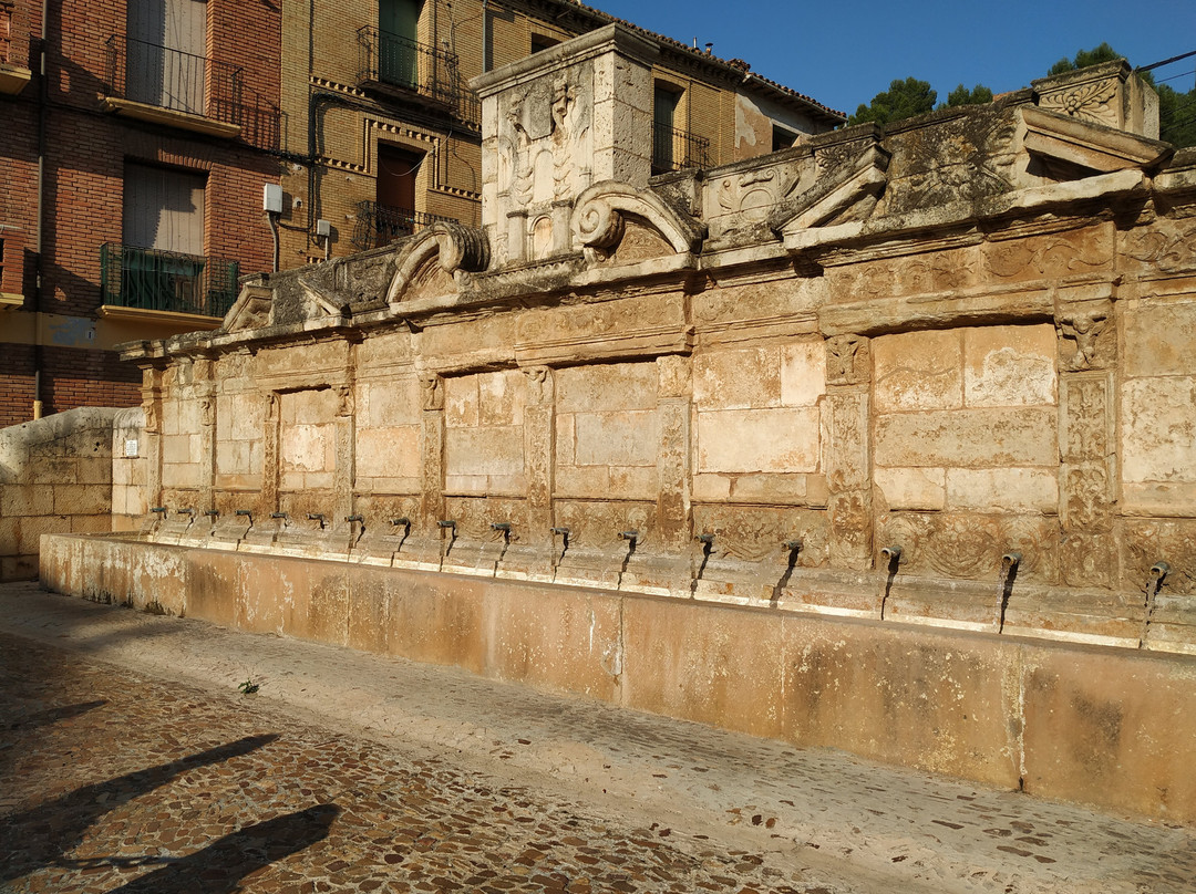 Fuente de los Veinte Canos景点图片