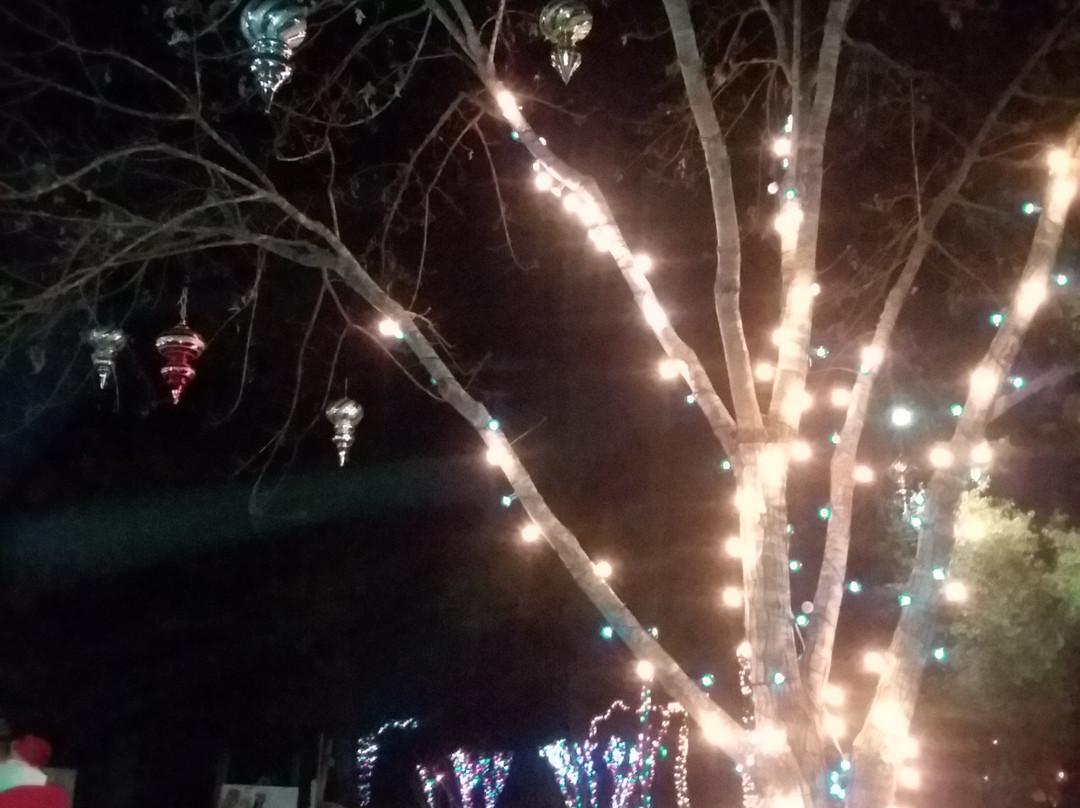 Pettit Creek Farms-Cartersville必去景点