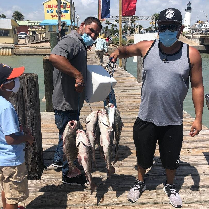 Dolphin Docks-Port Isabel必去景点
