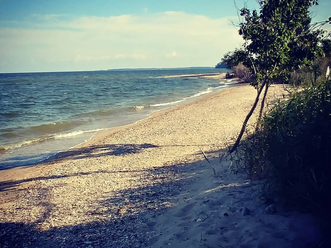 Cove Point Lighthouse景点图片