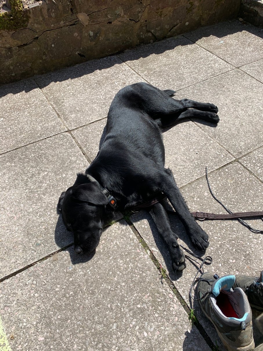 皇家橡树旅馆-浴室