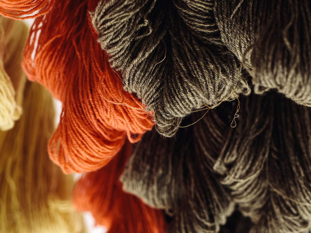 Lofoten Wool-Stamsund必去景点