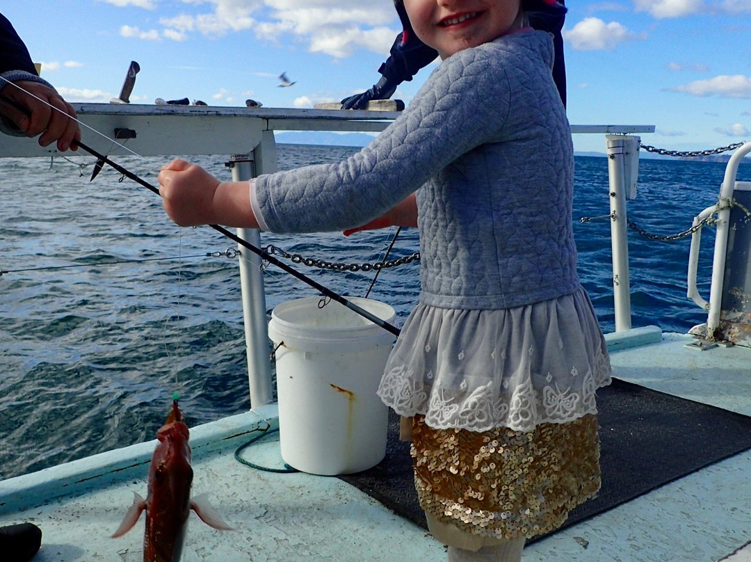 Fishing Waiheke - Day Tours-怀系奇岛必去景点