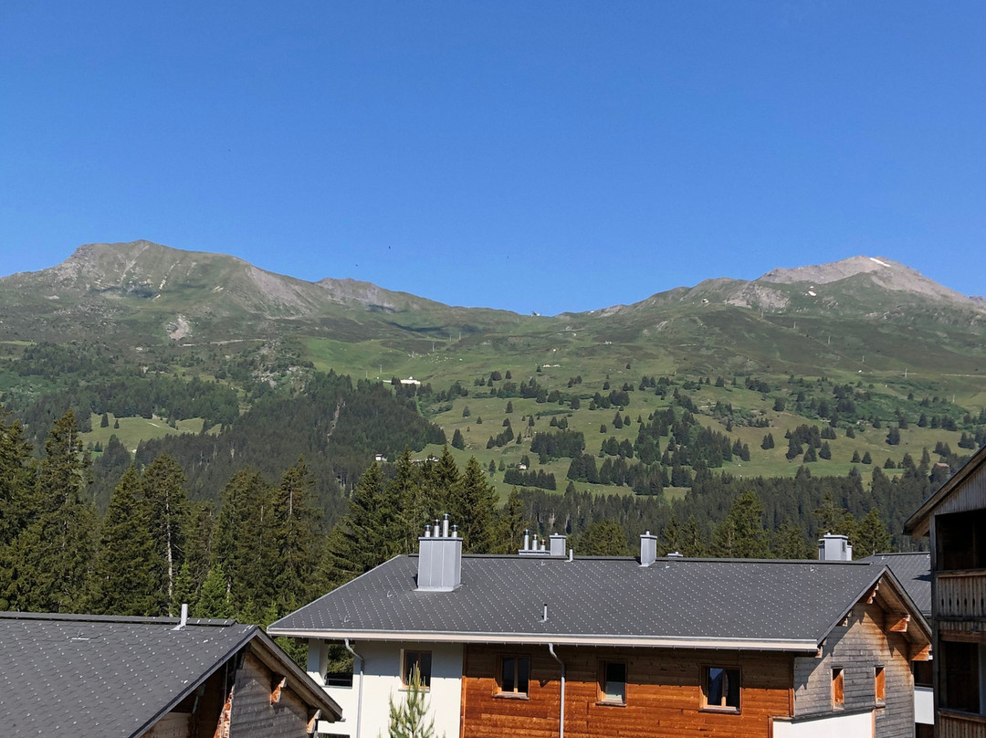 Priva Alpine Lodge Lenzerheide主图