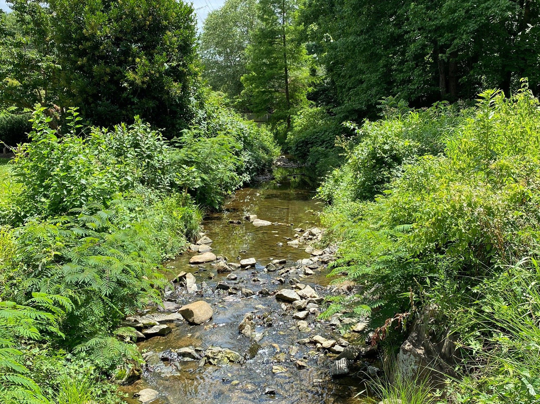 The Greensboro Arboretum景点图片