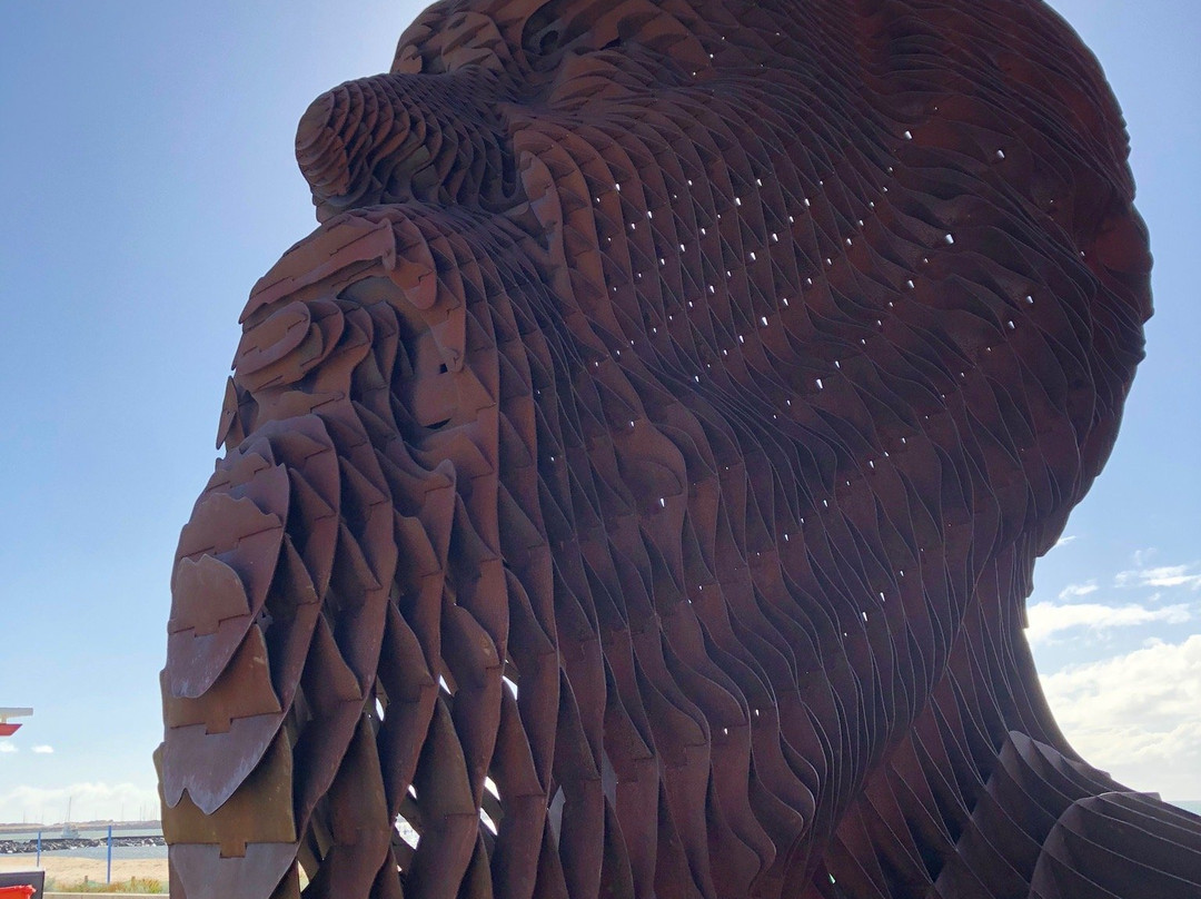 Koombana Bay-班伯利必去景点