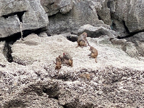 Genesis Luxury Regal Cruises-下龙湾必去景点