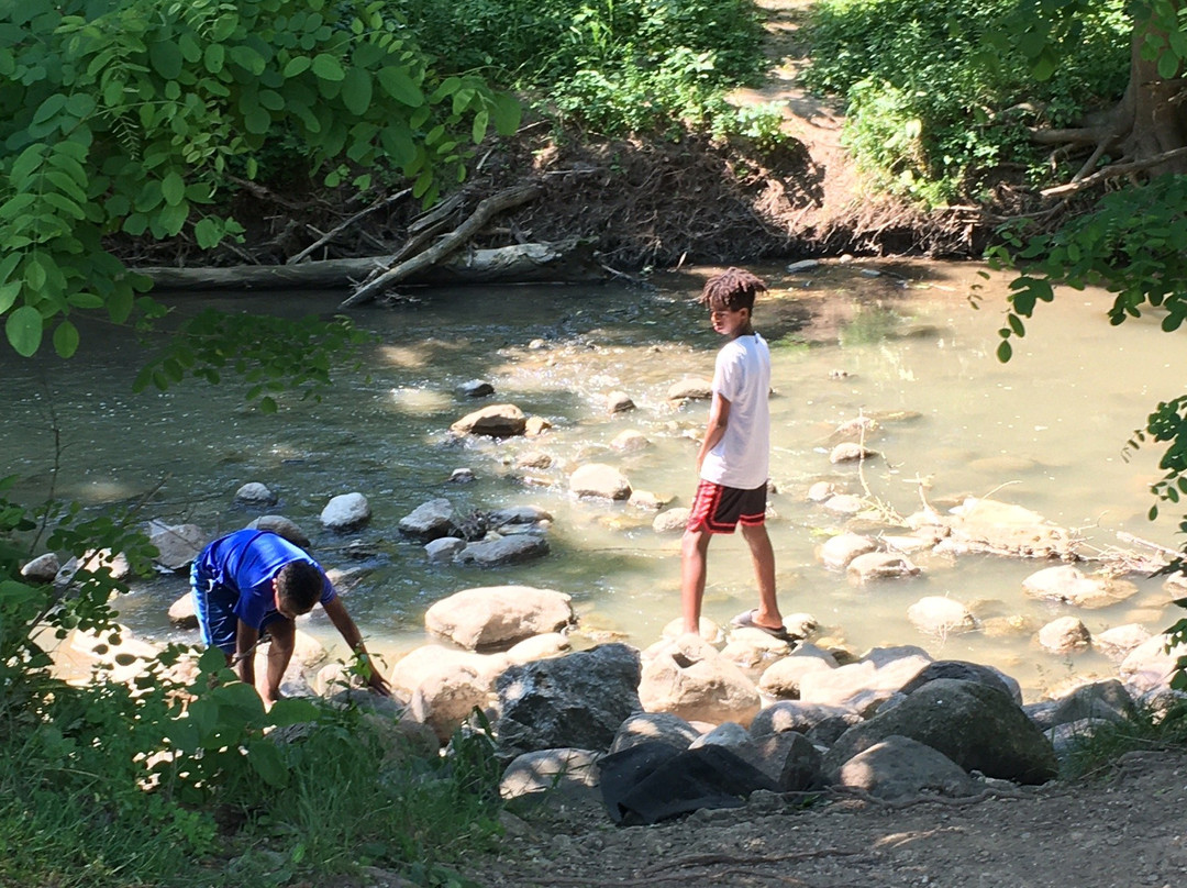 Petrifying Springs Park-基诺沙必去景点