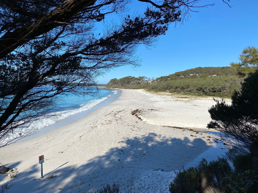 Hyams Beach Bed & Breakfast主图